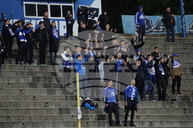 Футбол - Левски - Берое