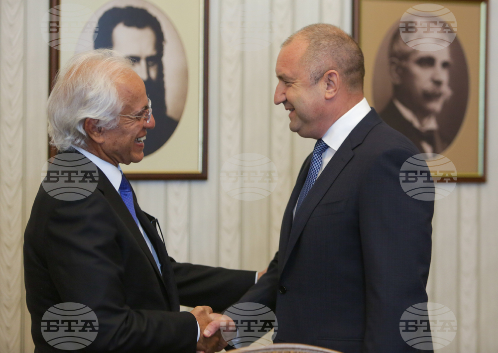 President, Greek Companies Discuss Ways to Increase Gas Supplies to Bulgaria via Alexandroupolis