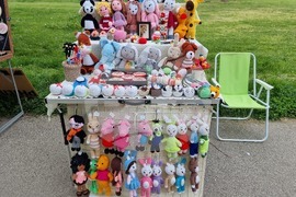 Видин - Занаяти и култура - фестивал