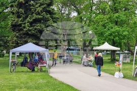 Видин - Занаяти и култура - фестивал