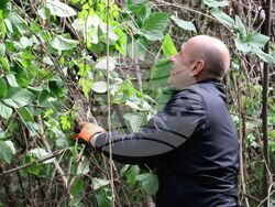 Снимка: Община Ловеч