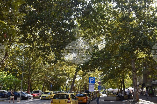 Община Разград въвежда дигитално плащане за синя зона от 6 април