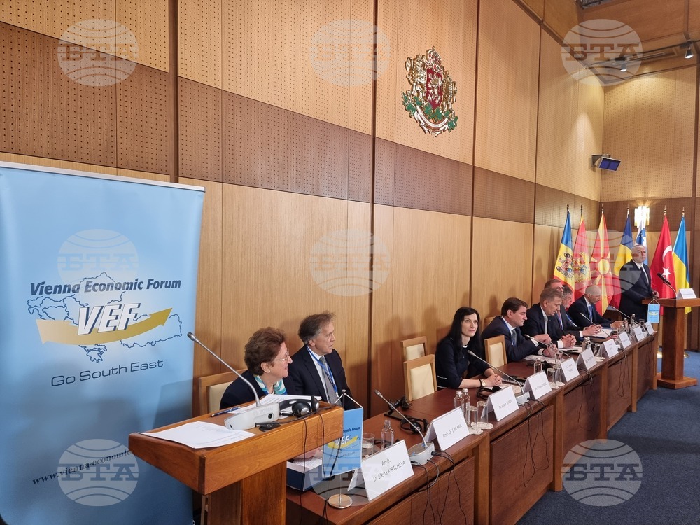 Виенски икономически форум - Софийска среща 2024