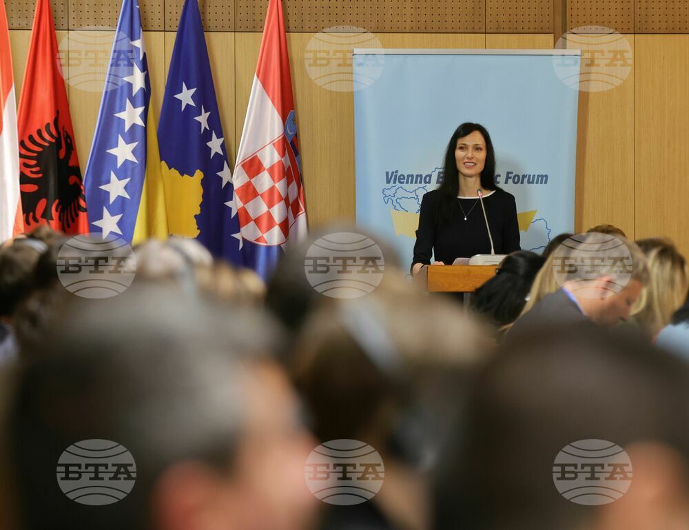 Виенски икономически форум - Софийска среща 2024