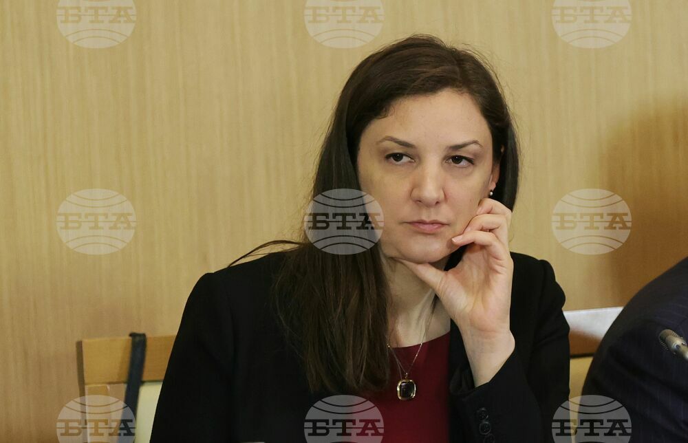 Виенски икономически форум - Софийска среща 2024
