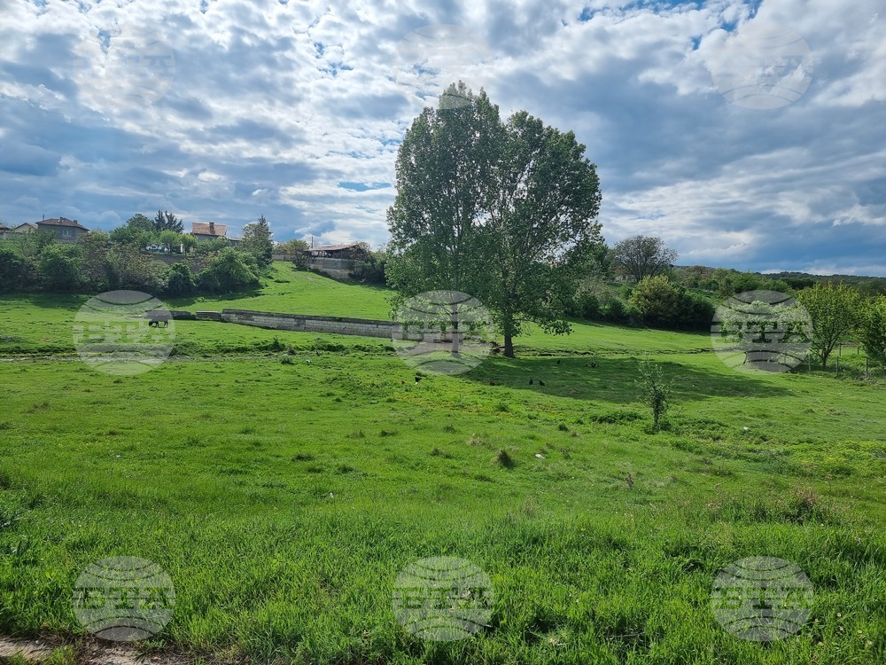Прогноза за времето