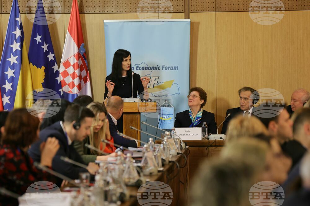 Regional and Global Economic Challenges Discussed at Vienna Economic Forum - Sofia Meeting 2024