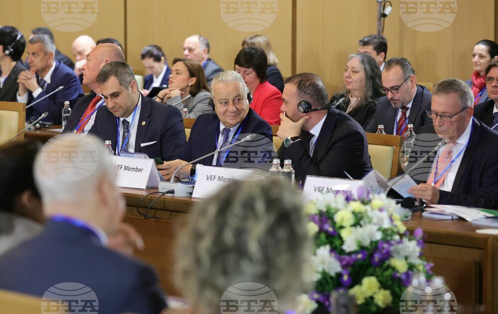 Виенски икономически форум - Софийска среща 2024