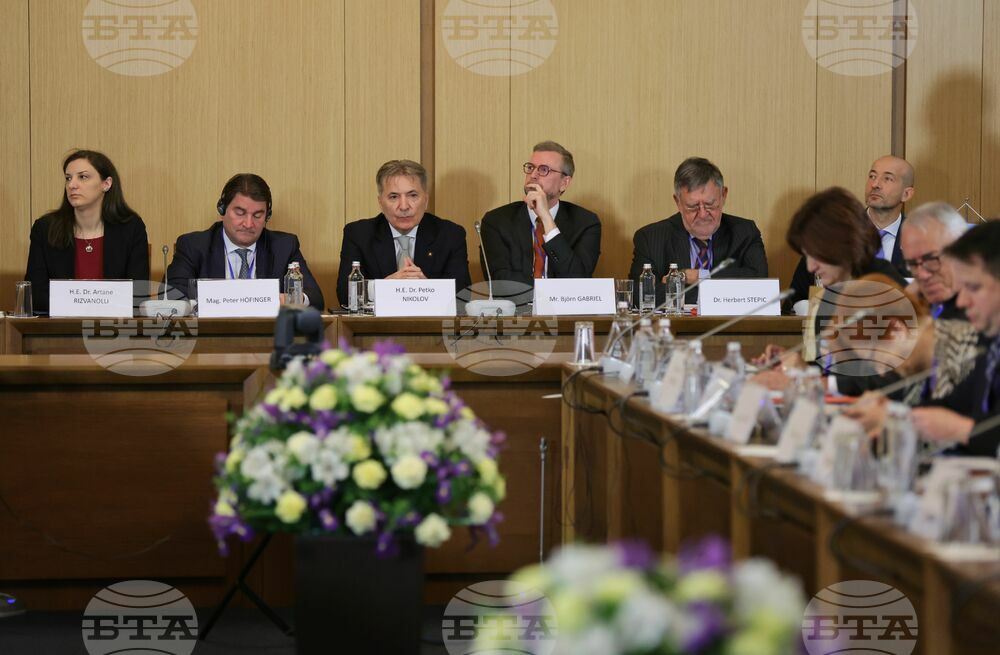 Виенски икономически форум - Софийска среща 2024