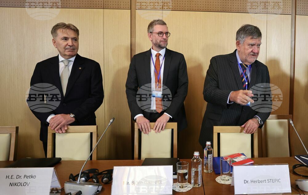 Виенски икономически форум - Софийска среща 2024