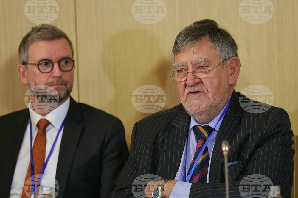 Виенски икономически форум - Софийска среща 2024