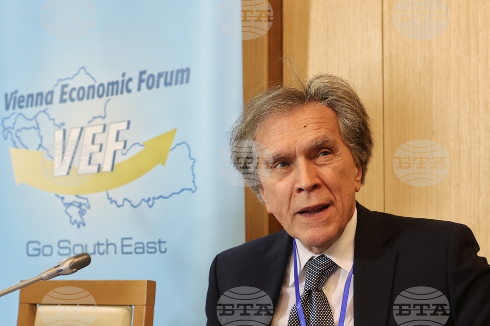 Виенски икономически форум - Софийска среща 2024