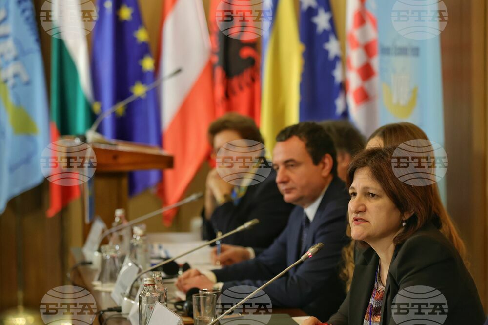 Виенски икономически форум - Софийска среща 2024