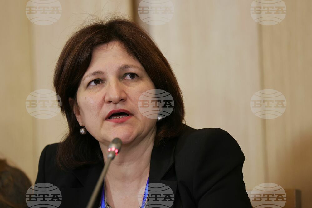 Economy Continues to Grow Despite Political Instability, Says InvestBulgaria Agency Head