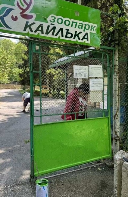 Община Плевен: Доброволци с нова акция за облагородяване на зоопарк „Кайлъка“ - чистиха и боядисваха клетки, смениха стари табели с нови
