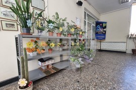 Кърджали - Международен ден на Земята - флашмоб