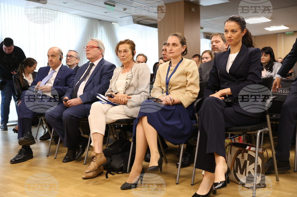 Дом на Европа - конференция - "Противодействие на дезинформацията и насърчаване на медийната грамотност: немски и френски подход"