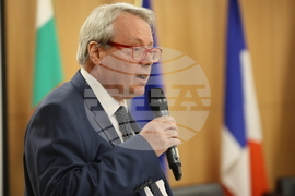 Дом на Европа - конференция - "Противодействие на дезинформацията и насърчаване на медийната грамотност: немски и френски подход"