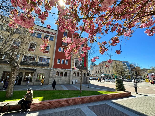 Пет инициативи са одобрени по програмата за финансово подпомагане на младежки дейности на Община Хасково