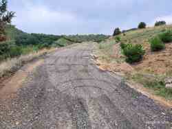 Снимка: Община Благоевград