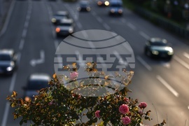 Ежедневие - уличен трафик