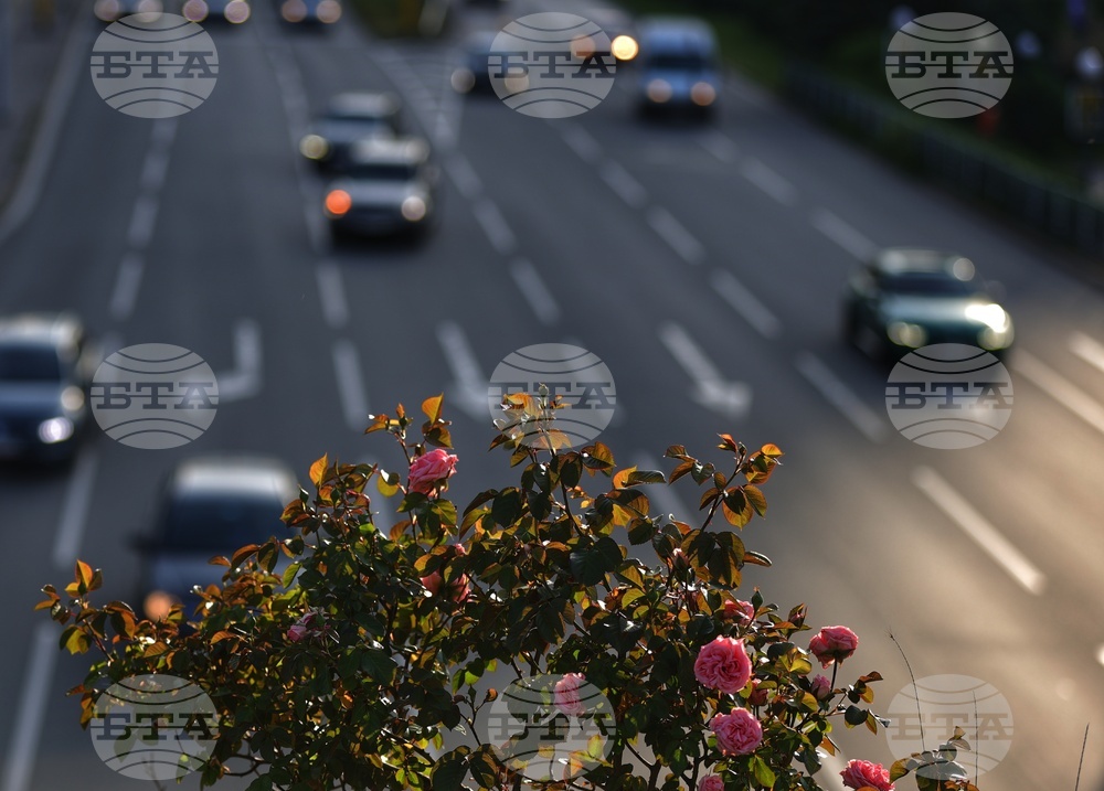 Ежедневие - уличен трафик