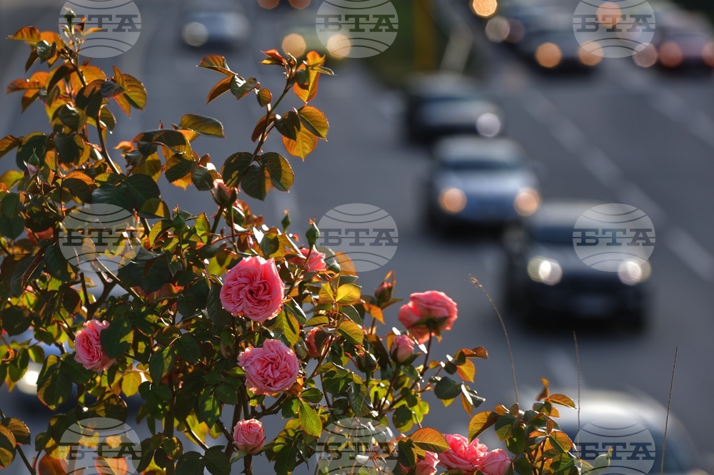 Ежедневие - уличен трафик