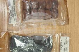 Национален пресклуб на БТА Плевен - ЛИК - "Българската следа в космоса"