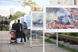 Ден на Земята - фотографска изложба „Ледовете на Антарктида"