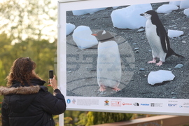 Ден на Земята - фотографска изложба „Ледовете на Антарктида"