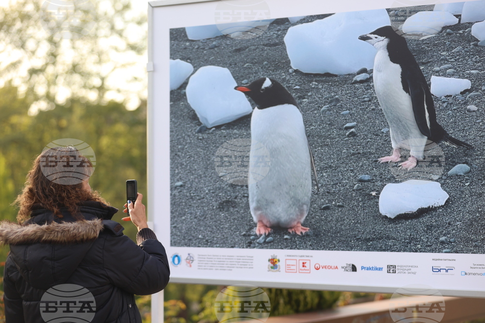 Ден на Земята - фотографска изложба „Ледовете на Антарктида"