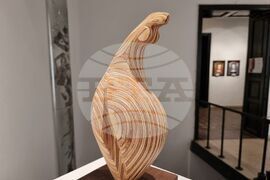 Варна - Адриана Добрева - изложба