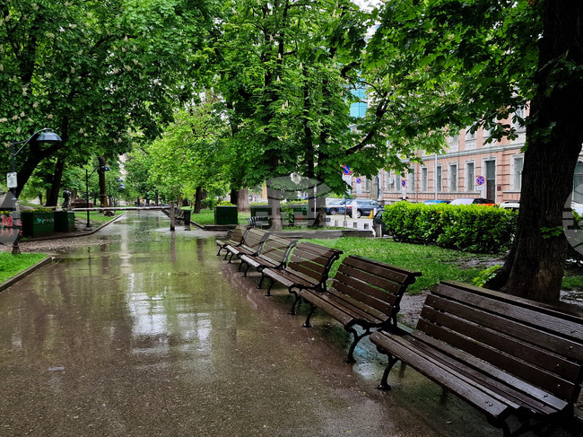 Доброволци от осем държави обновиха пейки и детски площадки в София