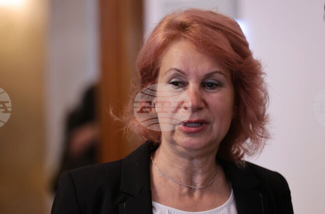 В 80% от случаите западнонилската треска протича безсимптомно, каза проф. Ива Христова