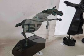 Ловеч - Димитър Рашков - изложба