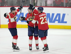Lightning Panthers Hockey