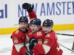 Lightning Panthers Hockey