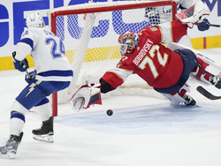 Lightning Panthers Hockey