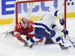 Lightning Panthers Hockey