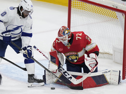 Lightning Panthers Hockey