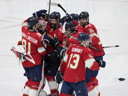 Lightning Panthers Hockey