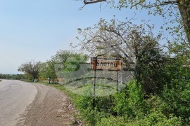 Село Блатец - блатно кокиче