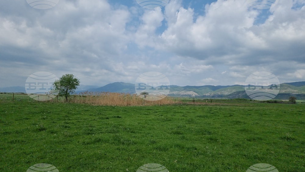 Село Блатец - блатно кокиче