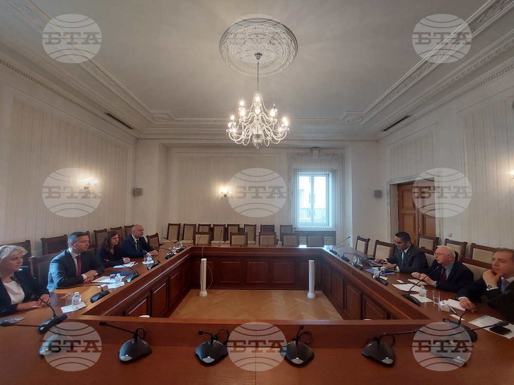 Socialist Party Representatives Discuss Upcoming National, European Elections with OSCE Mission to Bulgaria