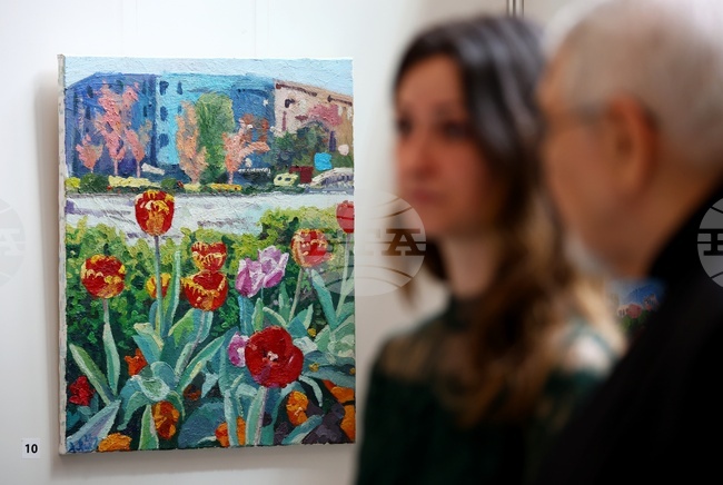 Народно събрание - Десислава Янакиева - изложба 