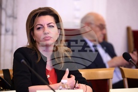 Парламент - Комисия по енергетика - Комисия по околната среда и водите - Ренета Колева