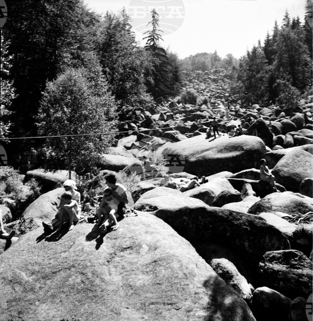 Парк Витоша