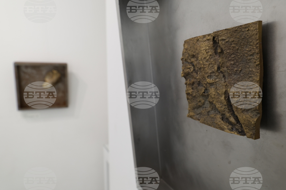 Галерия „Вежди“ - Бойко Митков  - изложба „Пълнолуние“ 