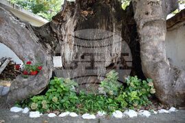 Село Лешница - 100-годишно училище - ремонт