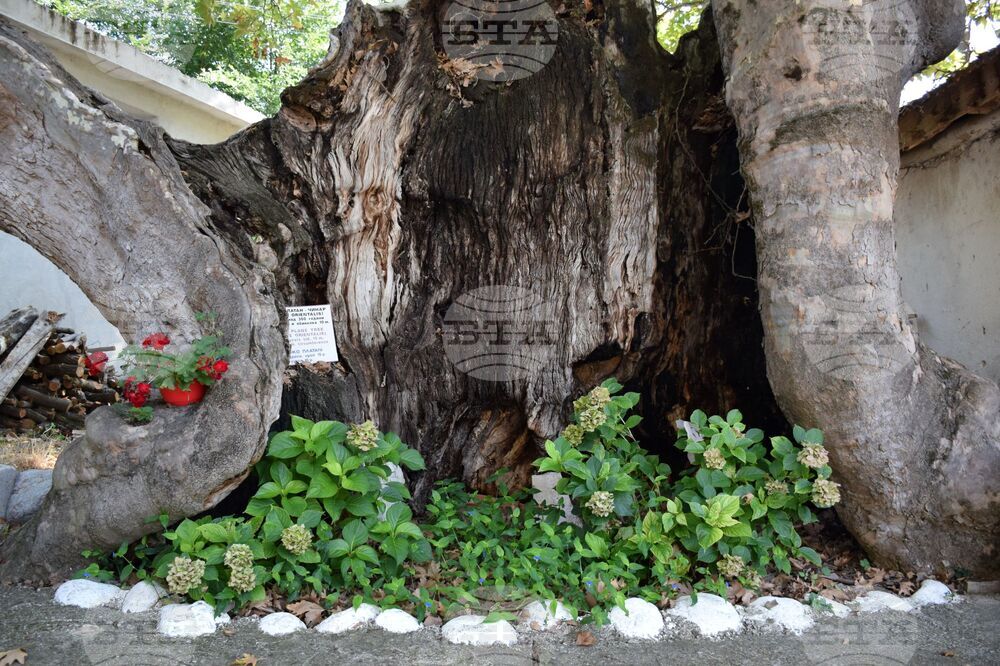 Село Лешница - 100-годишно училище - ремонт